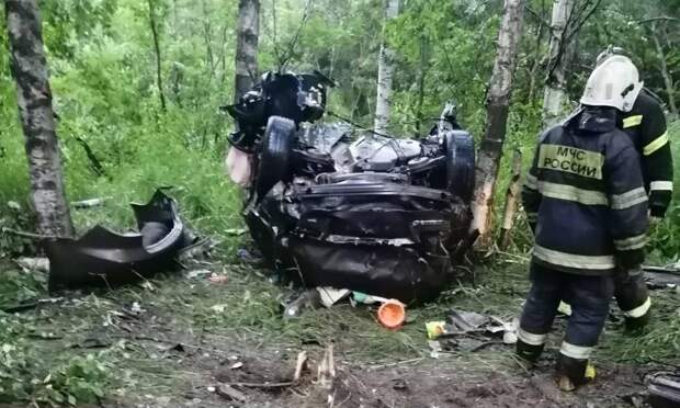 ДТП под Северодвинском: машину разорвало на части после столкновения с деревом