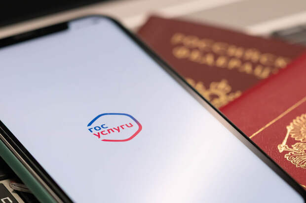 Адвокат Шалаев: при ошибках в реестре неплательщиков алиментов нужно идти в ФССП