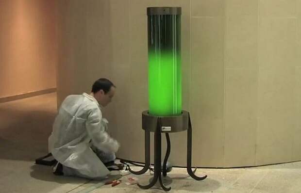 Технологии будущего: светильники из водорослей.