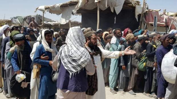 Кризис в Афганистане: сколько боевиков-террористов среди афганских беженцев 