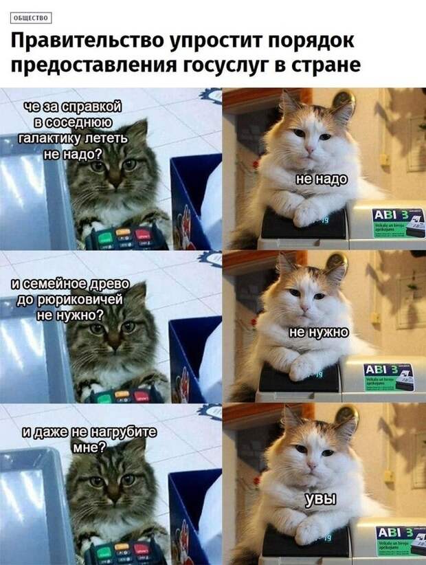 Не дай бог!