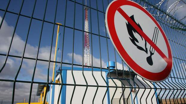 "Себе в ногу стреляют": японцы поглумились над энергетической политикой ЕС