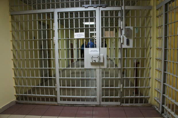 Суд арестовал обвиняемых в крупном ущербе экологии петербургских бизнесменов