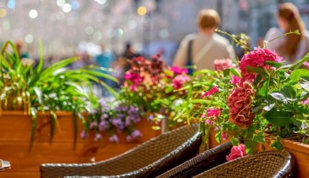 Ресторану Balagan грозит штраф до 1 млн рублей за нарушение антикоронавирусных мер