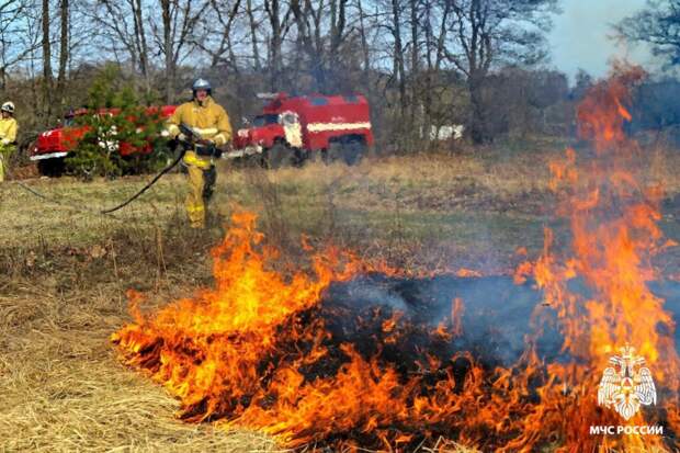 В смоленских лесах начался пожароопасный сезон