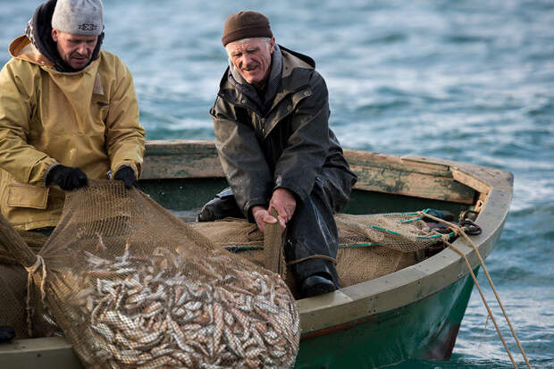 В Запорожье водолаз-сапер погиб при ловле рыбы для начальства