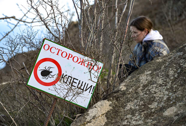 Россию атаковали клещи