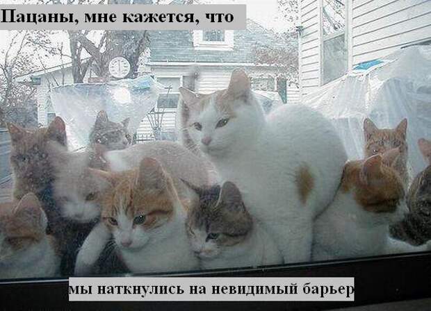 Мысли2 :) (50мыслей)