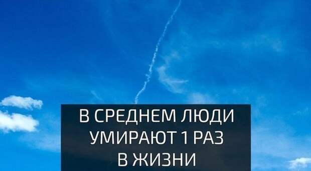 Подборка картинок. Вечерний выпуск (52 фото)