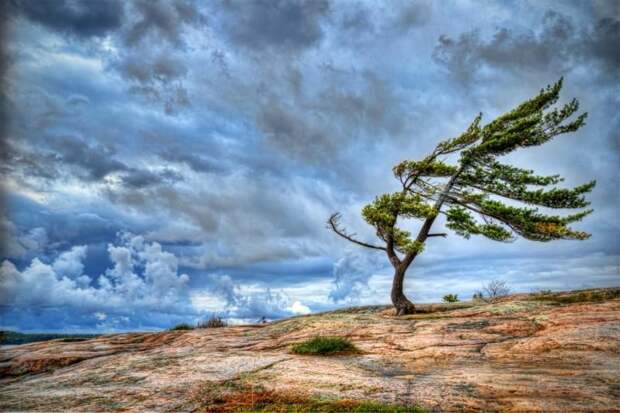 Прогноз погоды на 9 ноября: в Крыму и Севастополе похолодает и задождит