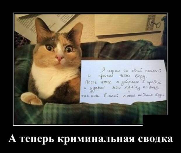 Демотиваторы (30 фото)