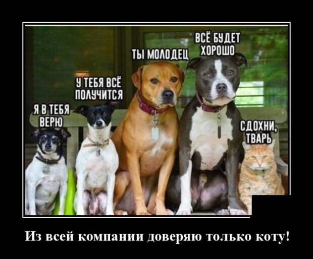 Демотиваторы 15 октября 2021 года
