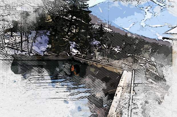 Орловцы могут отравиться в бесплатный экотур на Камчатку