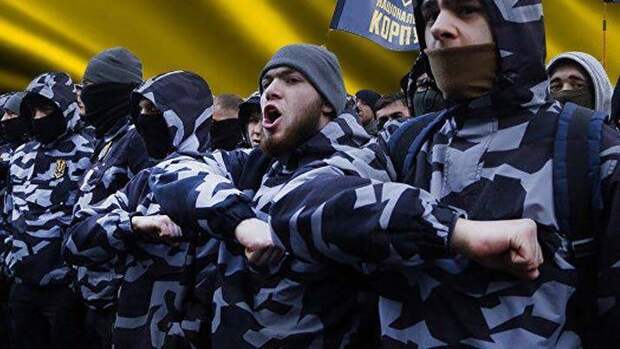 Евсеев заявил, что поджог склада зерна в Мариуполе укладывается в преступную суть киевского режима