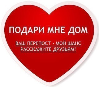 Помогите деткам выжить! Помогите, хотя бы временной передержкой!