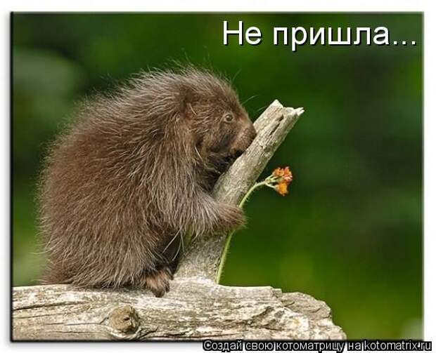 Давайте улыбаться вместе! :) (37улыбок)