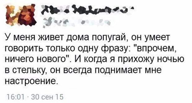 Юмор социальных сетей (26 скриншотов)