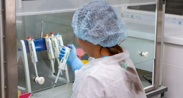 В Астрахани впервые выявили карантинный вирус в партии узбекской свеклы