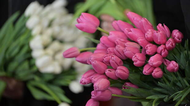 «Проституточные отношения»: в Госдуме жестко высказались о подарках на 8 Марта