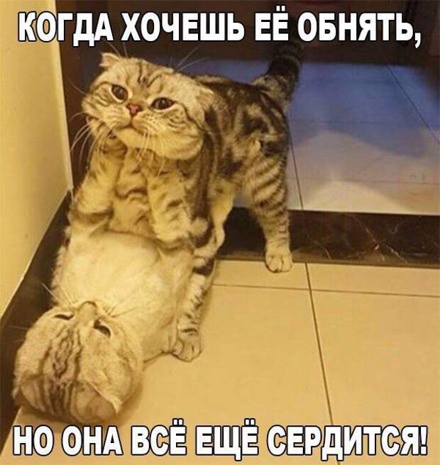 Веселые картинки и фотографии с надписью (10 фото) Веселые картинки и фотографии с надписью (10 фото)