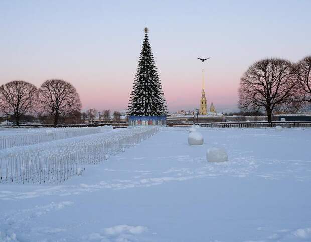 Беглов ответил недовольным подготовкой к Новому году в Петербурге