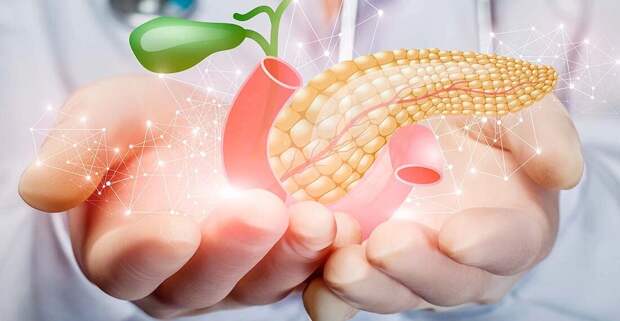 Тихая угроза: как "жирная" кровь разрушает вашу поджелудочную железу