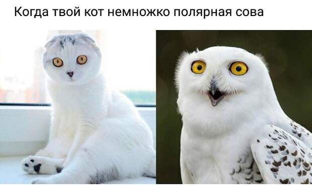 Давайте улыбаться вместе