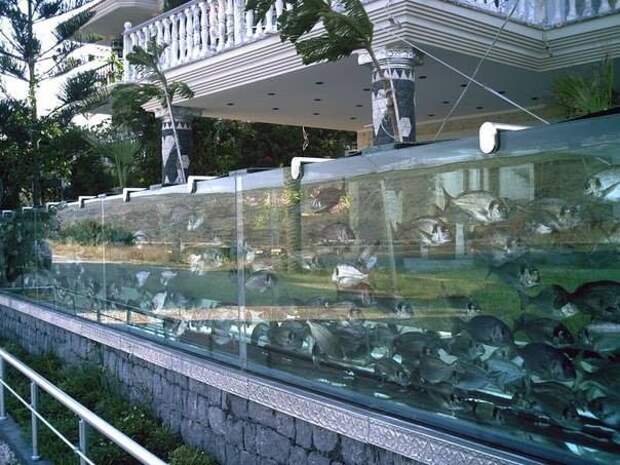 Необычное сооружение: забор аквариум