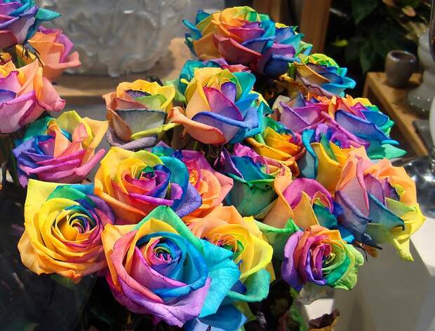 самые красивые и дорогие цветы: Радужные розы