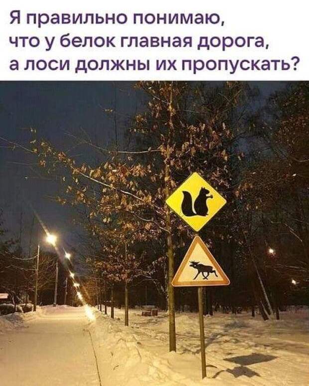 Подборка улетных картинок и мемов