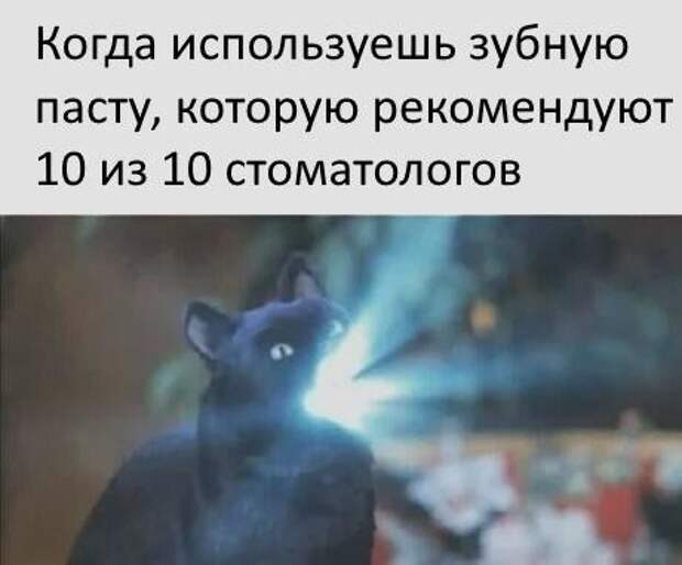 За что не любим мы зубных врачей