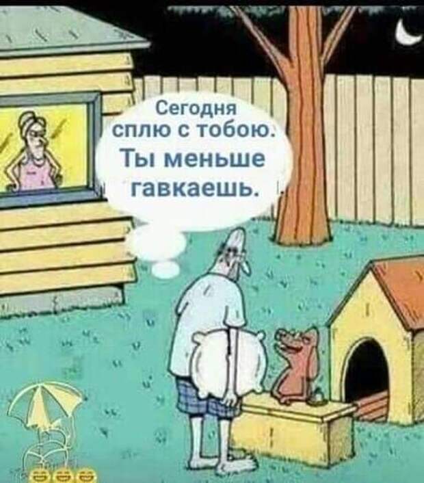 Угарные картинки с надписями (среда)