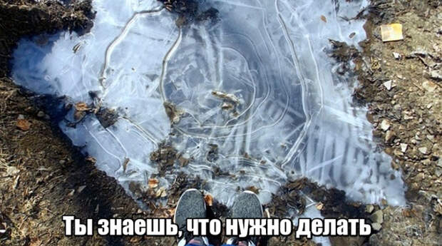 www.vsyako.net