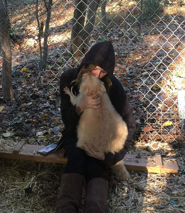 rescued-albino-raccoon-maxine-baird-new-hope-5a