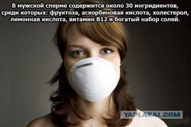 http://s00.yaplakal.com/pics/pics_original/0/6/5/182560.jpg