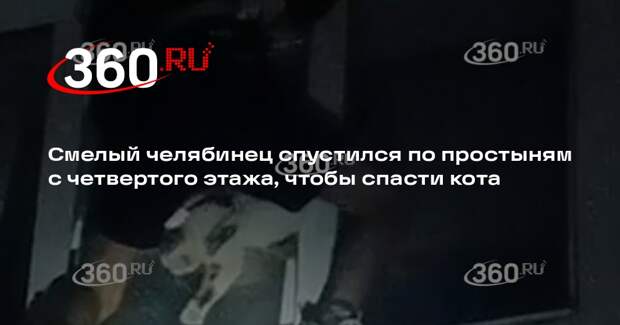 Челябинец спустился на простыне с 4 этажа ради спасения застрявшего в окне кота