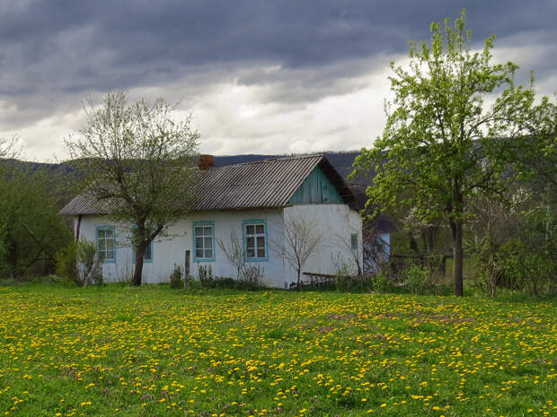 Старые хаты станицы Даховской. 