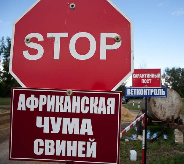 Похожее изображение