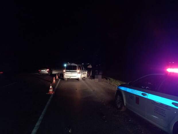 Пешеход в темной одежде погиб во время ночного ДТП под Челябинском