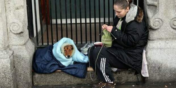 Статистическое управление Эстонии: В 2020 году 2,2 % населения жили в абсолютной бедности и 20,6 %- в относительной бедности