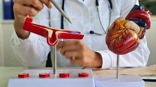 Как снизить риск инфаркта и инсульта: гид по новым рекомендациям кардиологов 2026 года