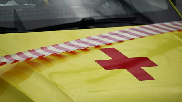 Из-за обстрела ВСУ в Каменке-Днепропетровской пострадала мирная жительница