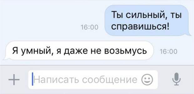 Подборка картинок. Вечерний выпуск (58 фото)