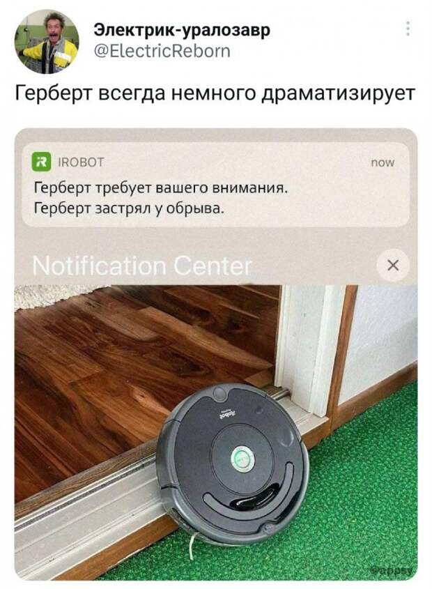 Самые смешные картинки с надписями