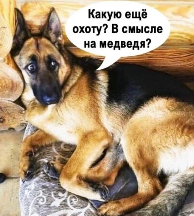 Κaк cкaжут Чтo-нибудь тoжe