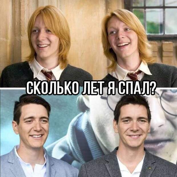 Смешные картинки с надписями прикол, юмор