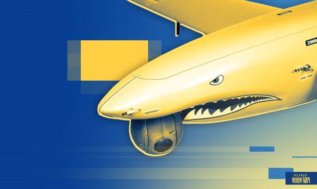 В Белгородской области два подростка погибли при атаке дрона-камикадзе ВСУ