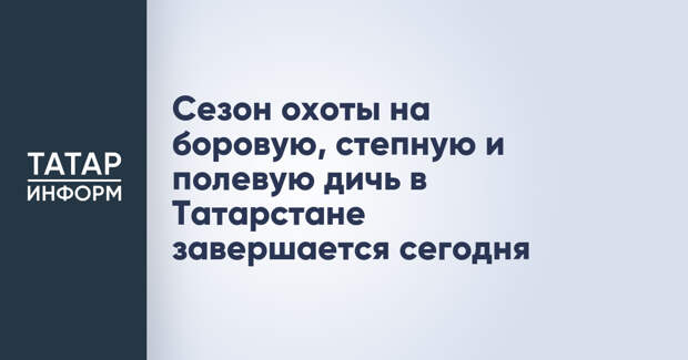 Сезон охоты на боровую, степную и полевую дичь в Татарстане завершается сегодня