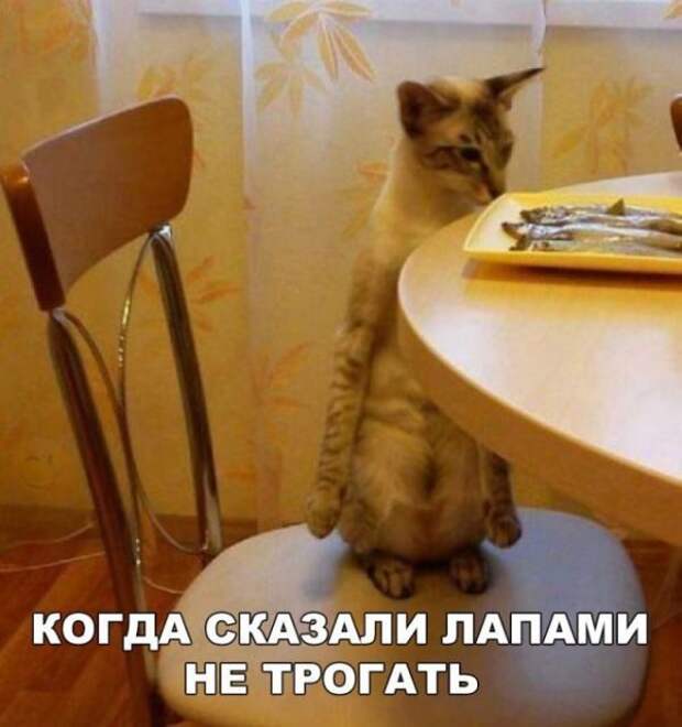 Приколюхи в стиле - "Когда..."