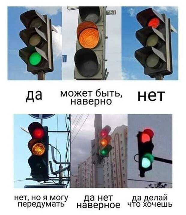 Смешные и познавательные картинки